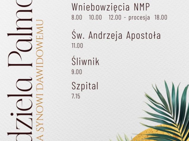 656572635_1364790682357404_1129572522631908106_n