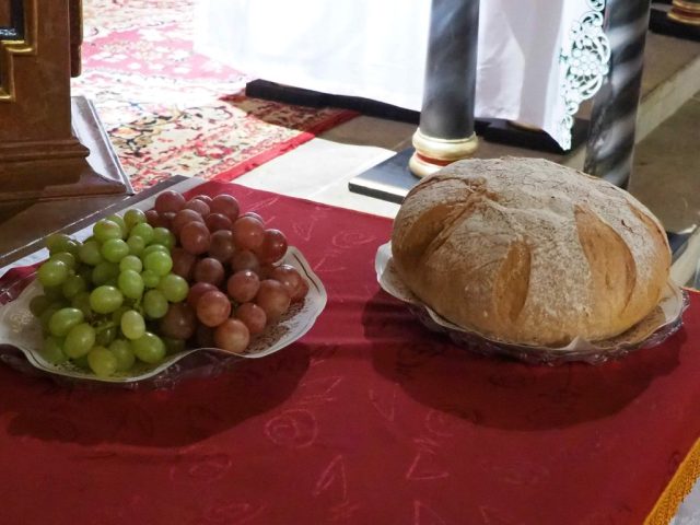 P1010705